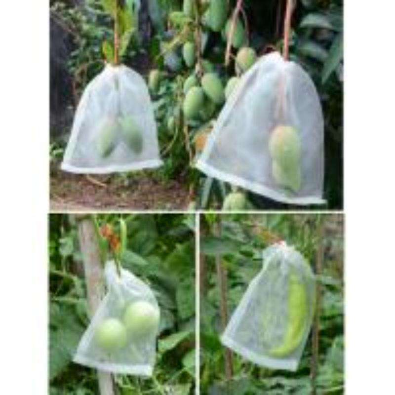 15 PCS Fruit & Vegetable Insect-Proof And Bird-Proof Nylon Mesh Bag, Specification: 25x25cm