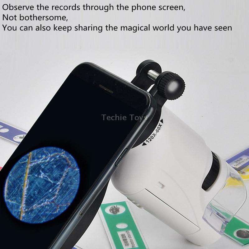 Children Handheld Portable Laboratory Equipment Microscope Toys, Colour: Lite Standard (Blue)