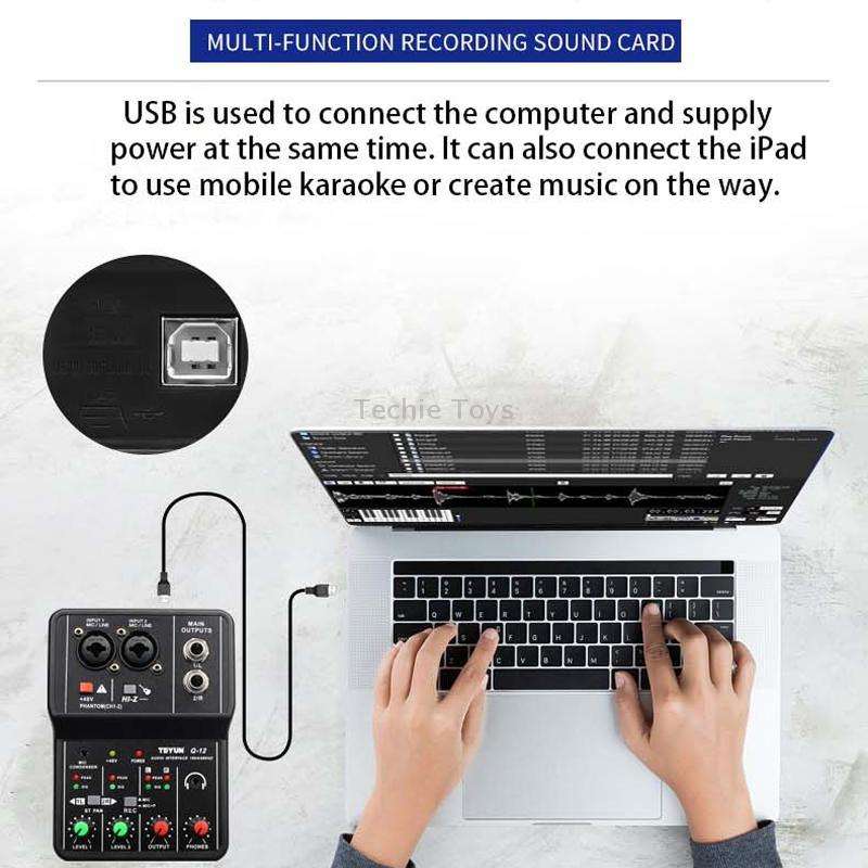 TEYUN Q-12 Computer Recording Sound Card USB Drive-free Recording Arranger(Black)