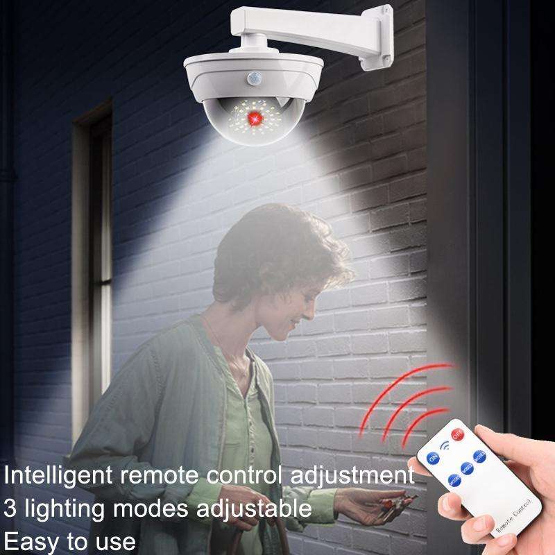 Solar Simulation Camera Monitoring Light Human Body Induction Wall Light(TY11301 LED)