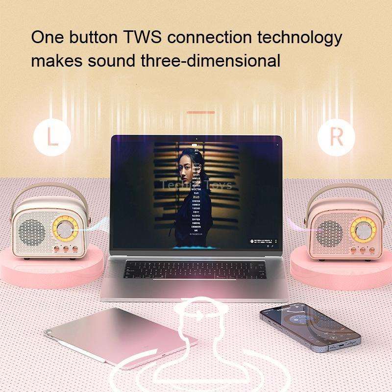 DW21 Vintage Radio BT Speaker Support TF Card/U Disk to Play(Pink)
