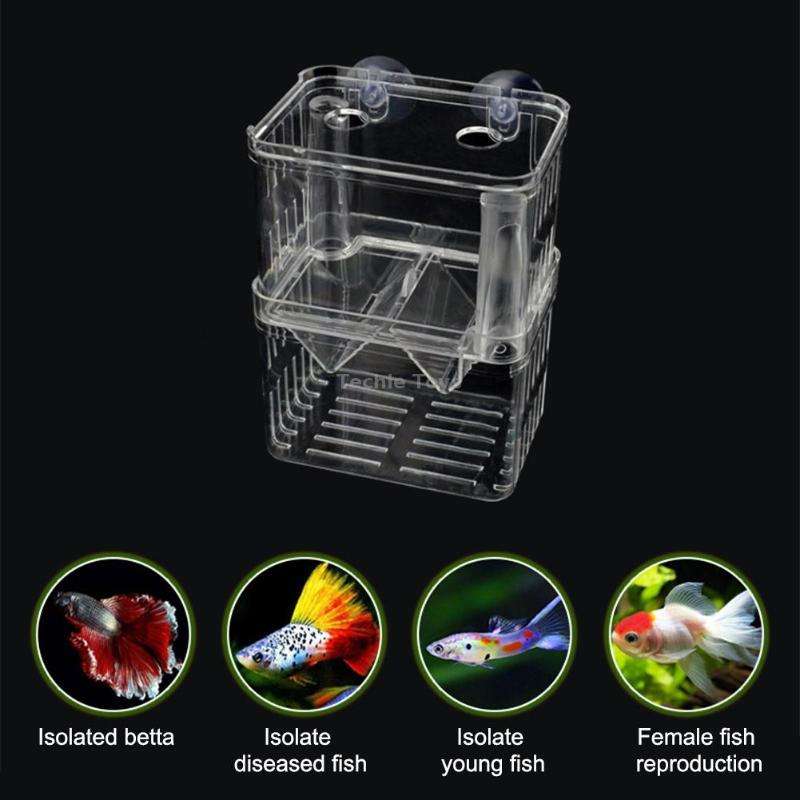 Small Peacock Fish Double Layer Transparent Breeding Isolation Box Aquarium Breeding Box