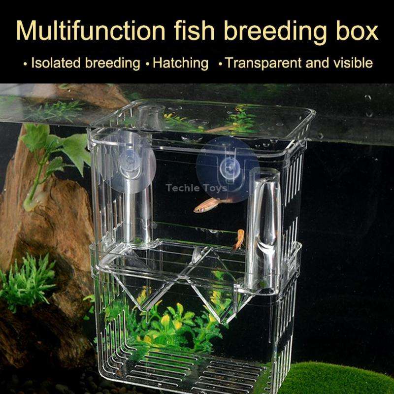 Small Peacock Fish Double Layer Transparent Breeding Isolation Box Aquarium Breeding Box