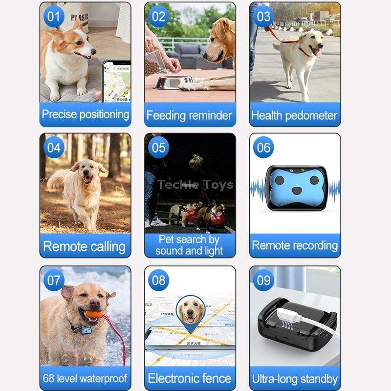 GPS Wireless Wifi Pet Location Chasing Cat Dog Collar Anti-loss Locator(Sky Blue)