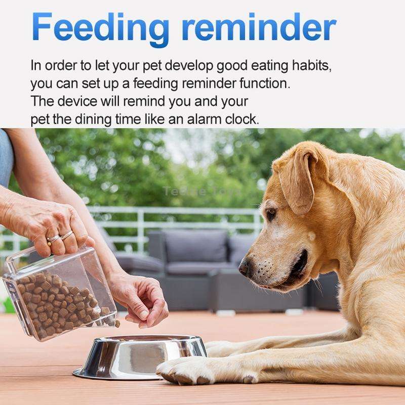GPS Wireless Wifi Pet Location Chasing Cat Dog Collar Anti-loss Locator(Sky Blue)