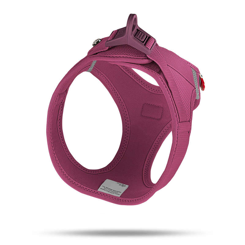 Curli Ruby Clasp Harness - Air-Mesh for Small Dogs