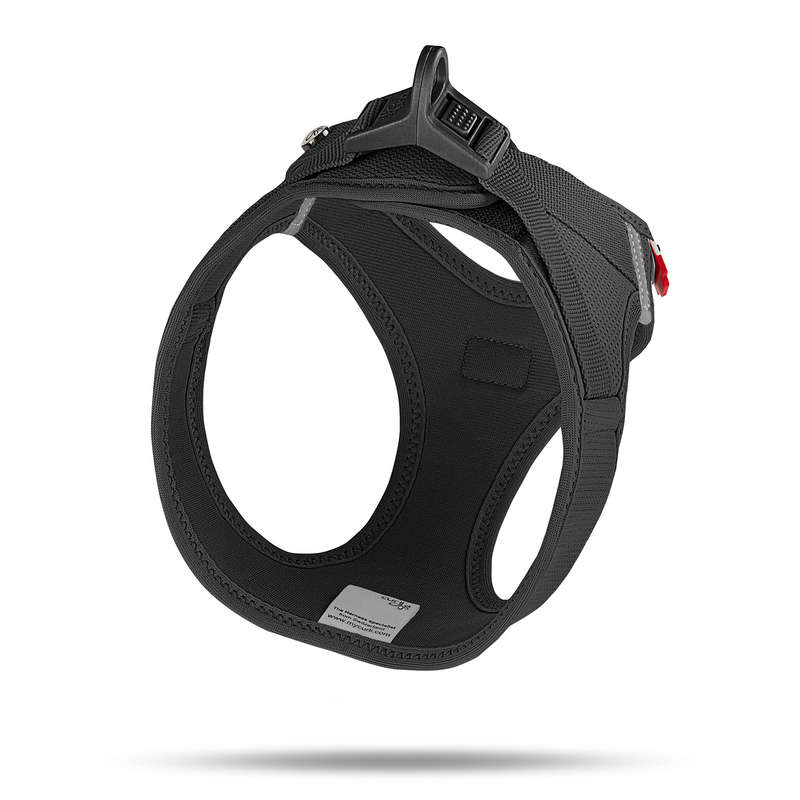 Curli Clasp Black Dog Harness - Air-Mesh for Small Dogs