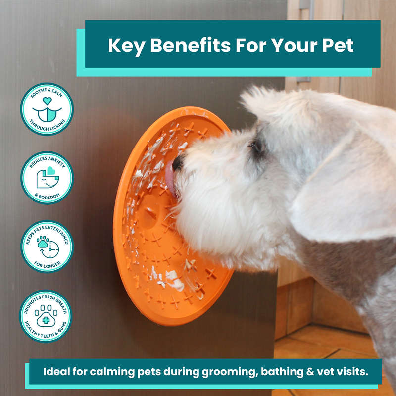 LickiMat Splash Suction Mat for Dogs - Pack of 6