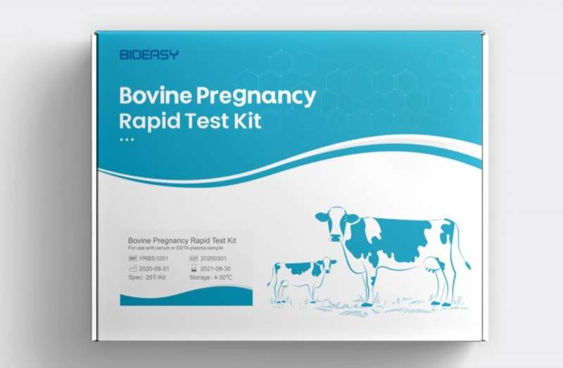 Cow Pregnancy Tests Bovine  Singles