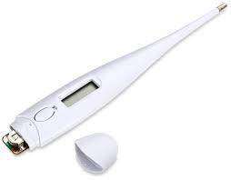 Digital Thermometer