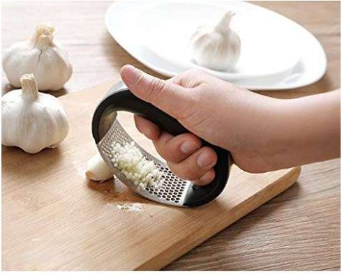 Stainless Steel Garlic Press