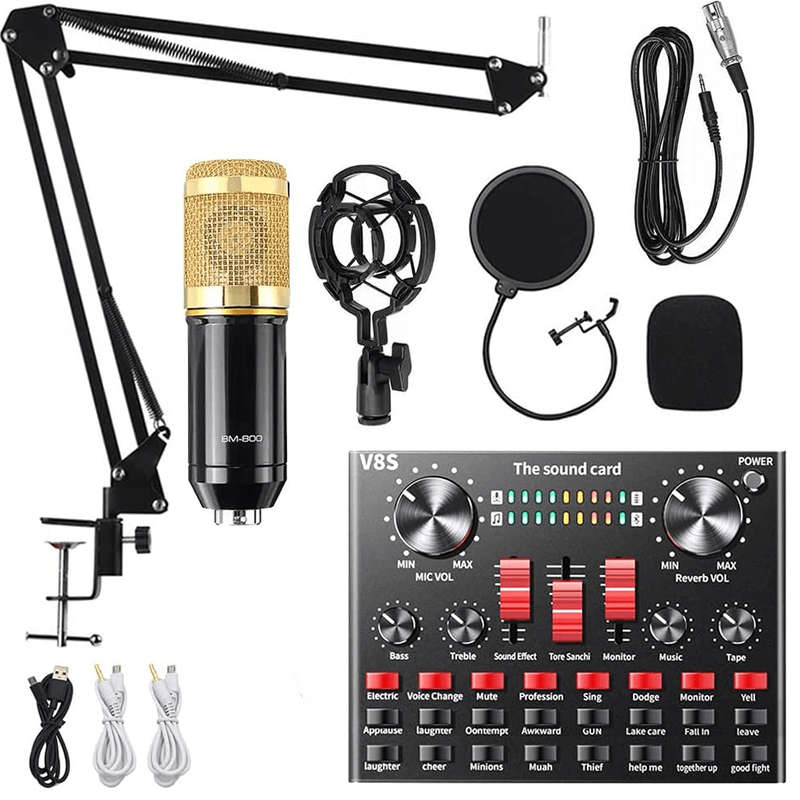 Professional Condenser Microphone