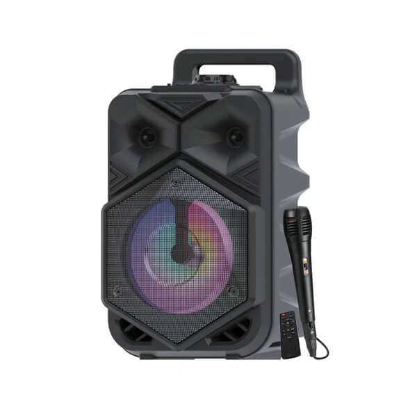 Bluetooth Speaker with Wireless Mic