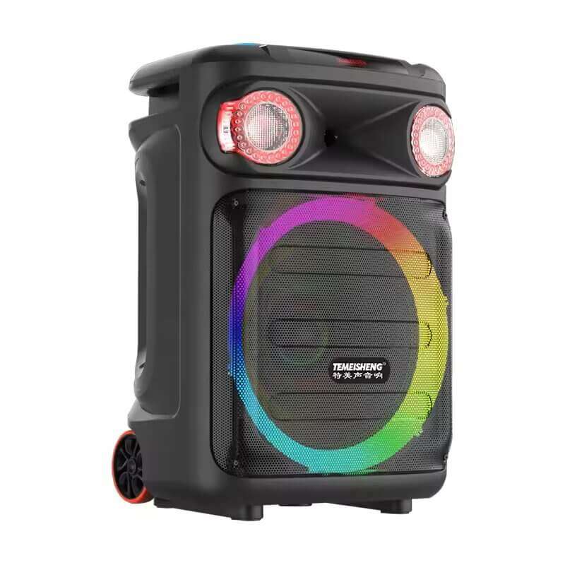 Bluetooth Trolley Speaker 2 Mics and Remote