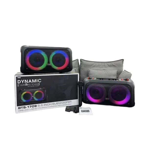 Portable Subwoofer Bluetooth Speaker with Wireless MIC
