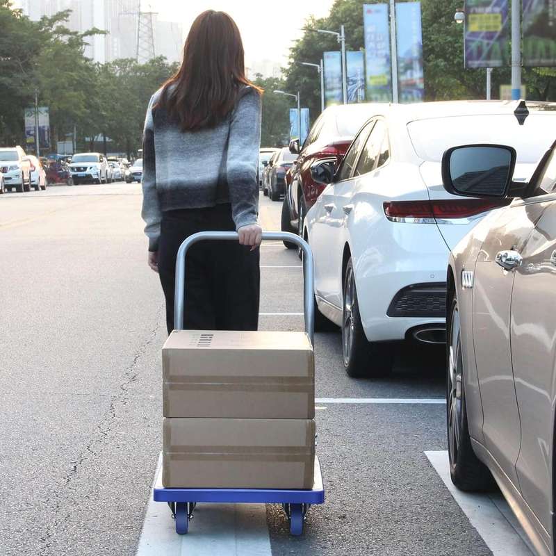 100kg Heavy Weight King Single Platform Trolley 48x68cm