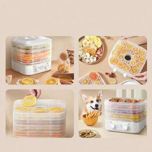 Household Food Dehydrator