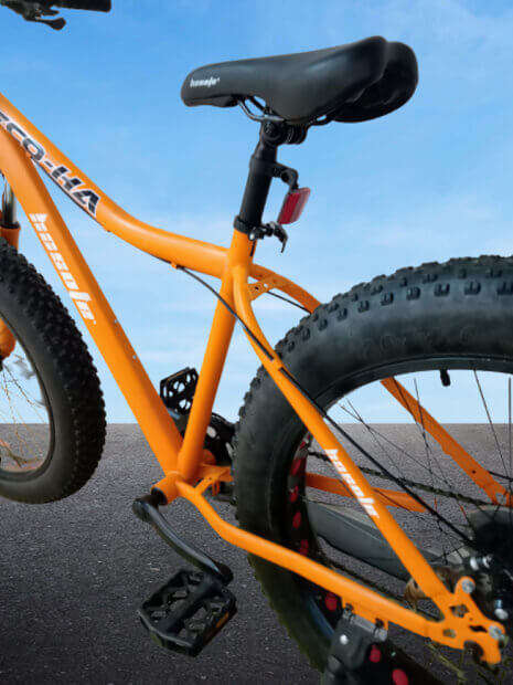 26 inch Large Frame Black Fat Tire Bicycle