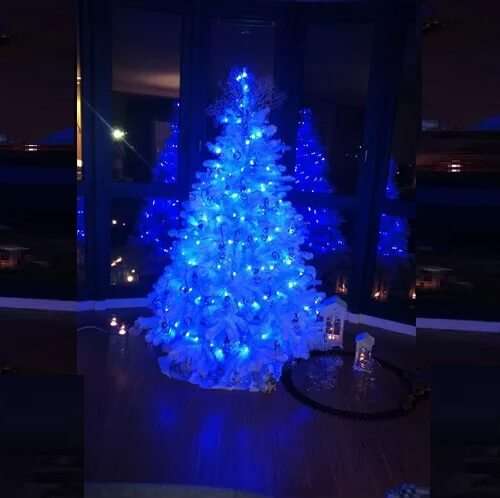 100 LED Decorative Lights