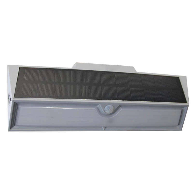 Solar Motion Sensor Light