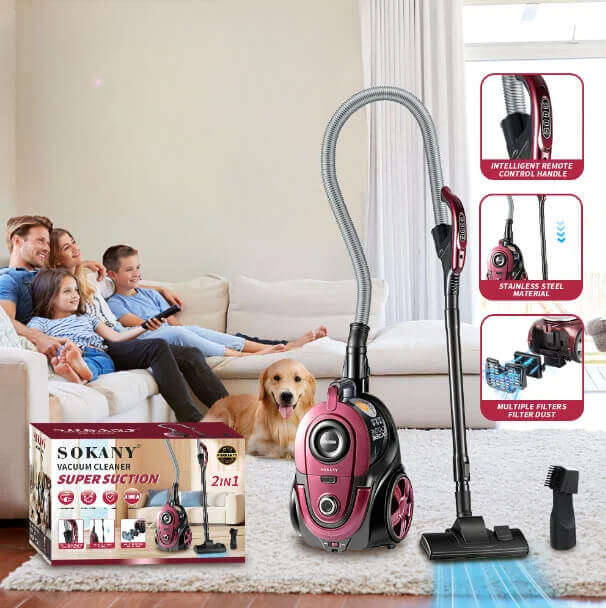2 in 1 Multifunctional Wet and Dry Carpet Vacuum Cleaner