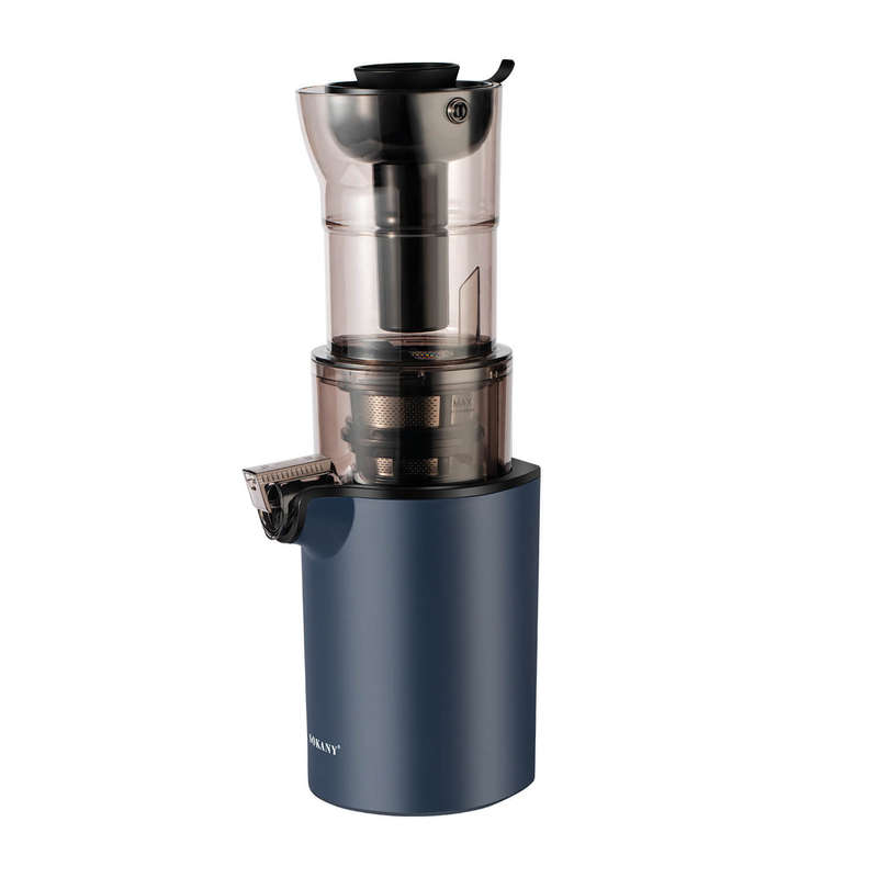 Electric Slow Press Juicer