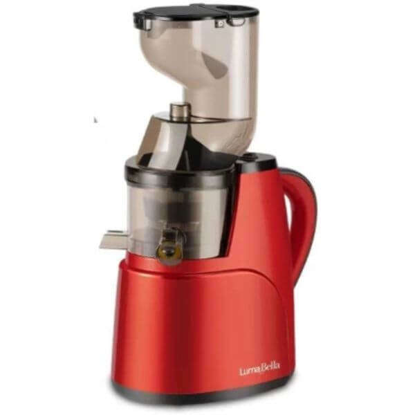 800w Electric Slow Juicer