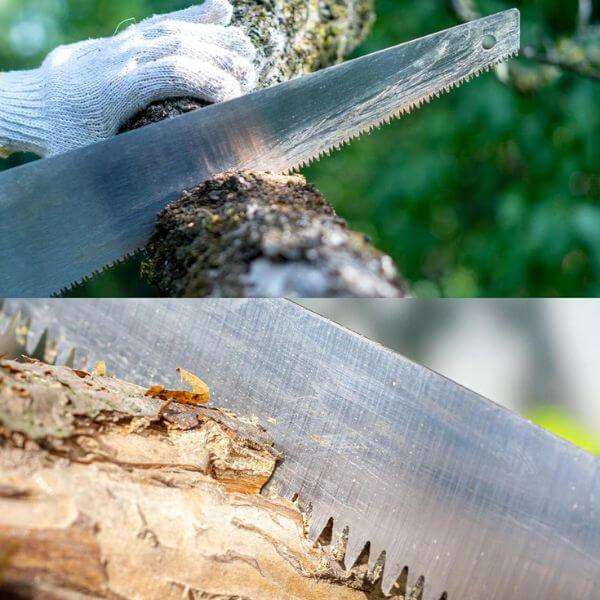 Pruning Saw with Wood Grip Handle