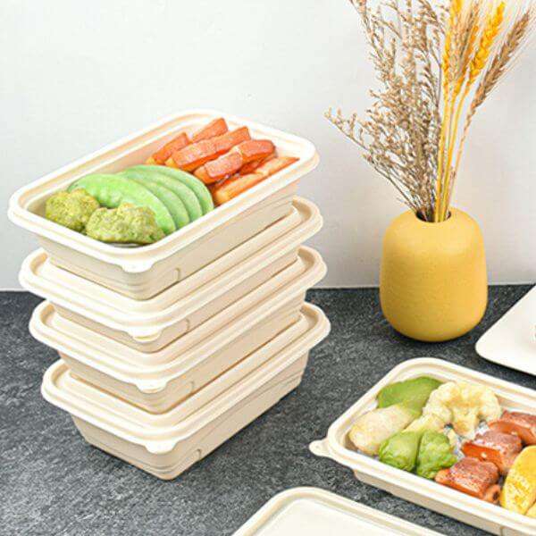 1000ML Rectangular Disposable Food Container