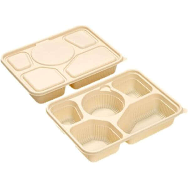 5 Compartment Disposable Lunch Box