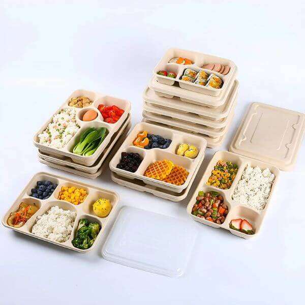 5 Compartment Disposable Lunch Box