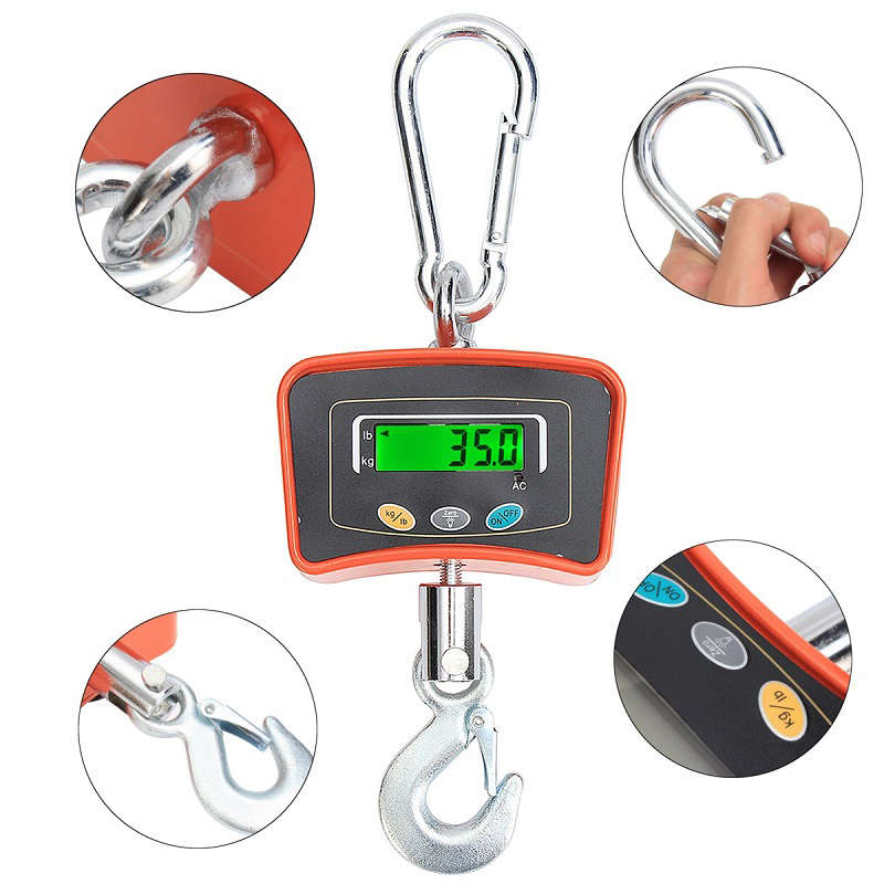 300Kg Mini Industrial Crane Scale