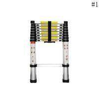 4.2m Straight Telescopic Ladder