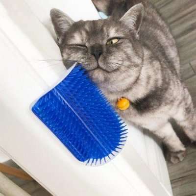 Cat Self Groomer Comb
