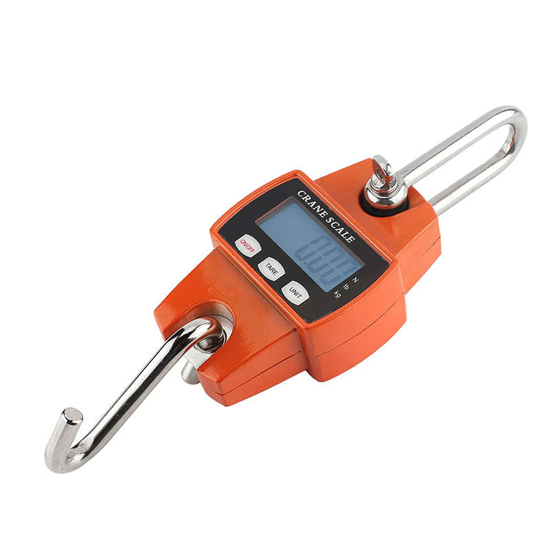 300kg Portable Mini Crane Hanging Scale