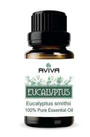 AVIVA ESS OIL 10ML EUCALYPTUS
