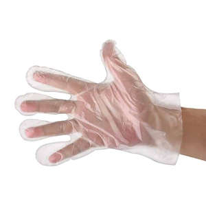 GLOVES DISP DELI PE CLINIHEALTH 100S