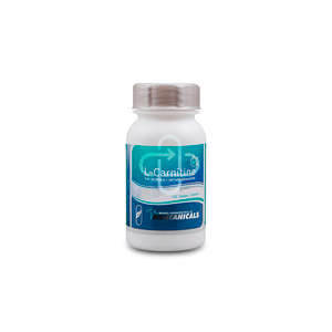 L-CARNITINE 200MG 100 TABLETS