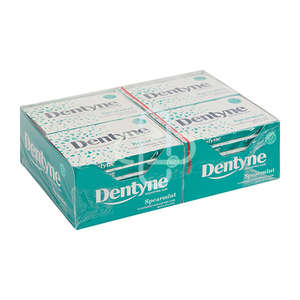 DENTYNE 14.5G SPEAM 24 CA ~