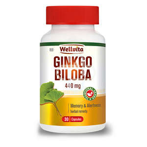 GINKGO BILOBA 440MG 30 CAPS WELLVITA