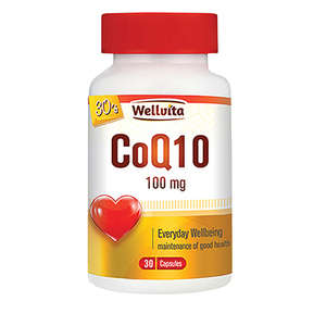 WELLVITA CO ENZYME Q10 100MG 30 SOFTGELS