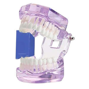 DENTAL COL.SILICONE GAG SMALL BLUE