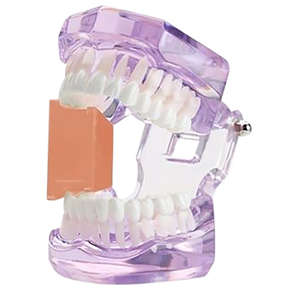 DENTAL COL.SILICONE GAG ORANGE 1