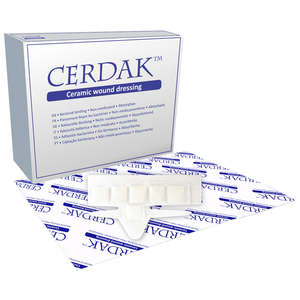 CERDAK DIGITIP 10~