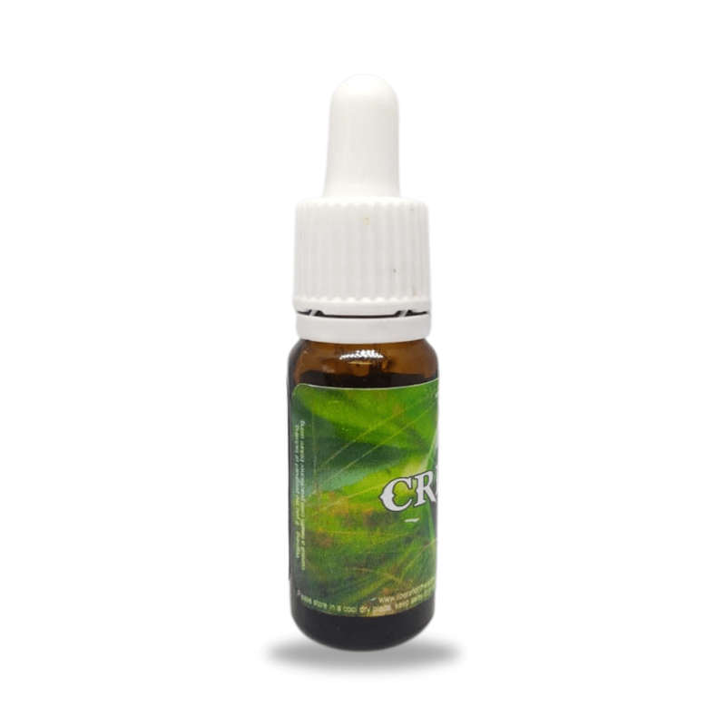Creation Potentised Homeopathic Remedy 10ml