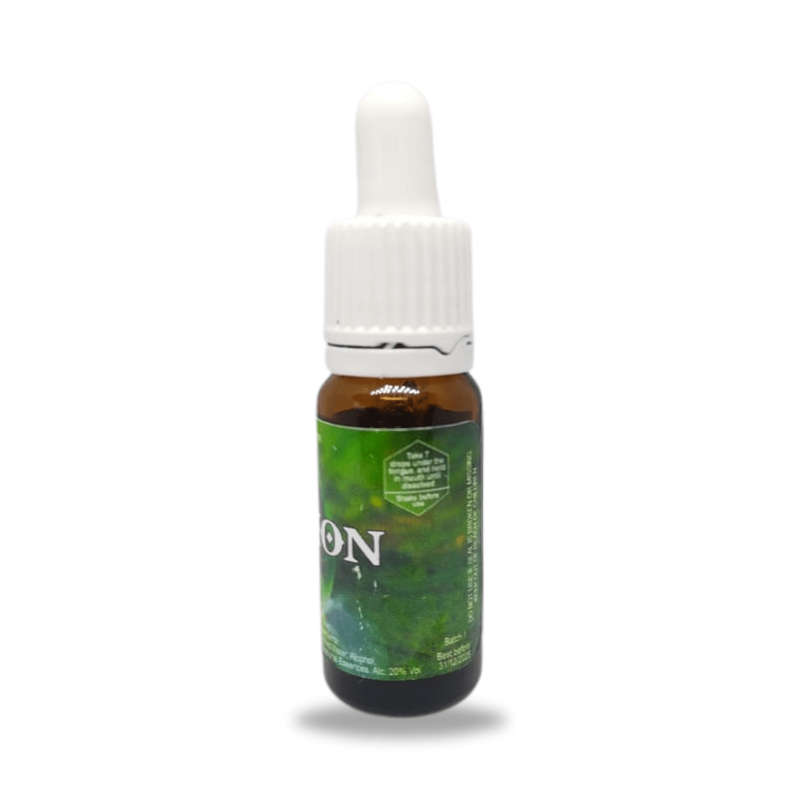 Creation Potentised Homeopathic Remedy 10ml