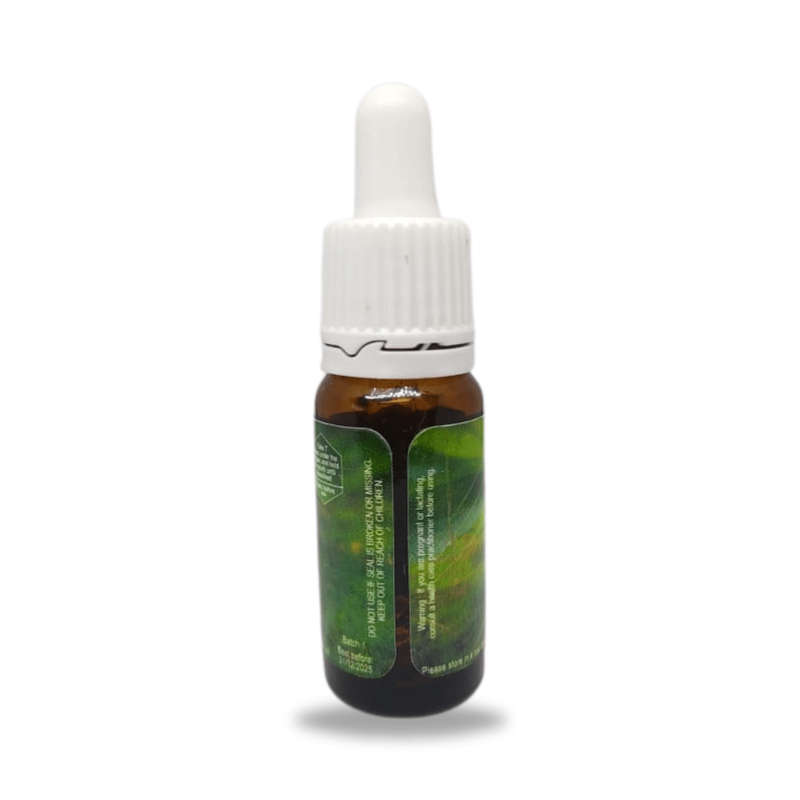 Creation Potentised Homeopathic Remedy 10ml