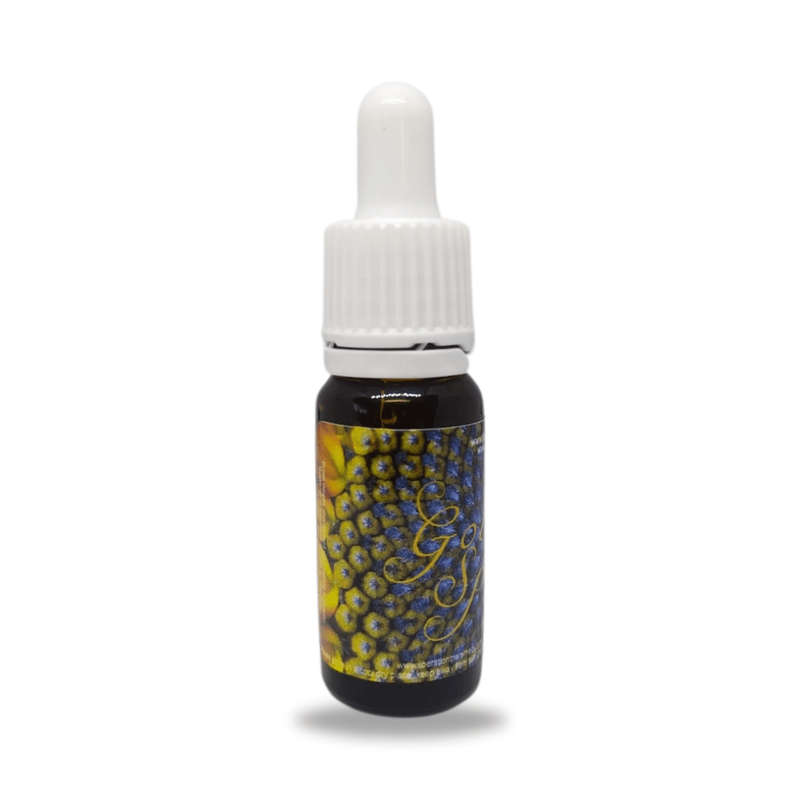 Golden Spiral Potentised Homeopathic Remedy 10ml