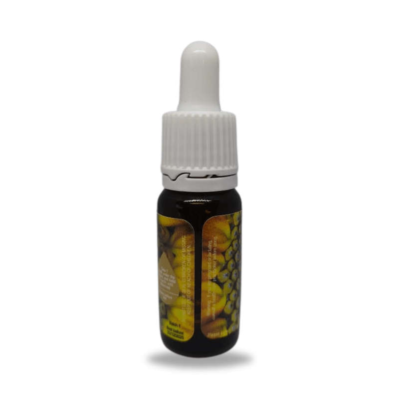 Golden Spiral Potentised Homeopathic Remedy 10ml
