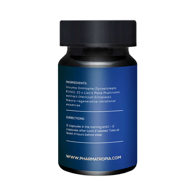 Neuro Repair Capsules (60) Synaptolepis Kirkii, Lions Mane Extract (10:1)
